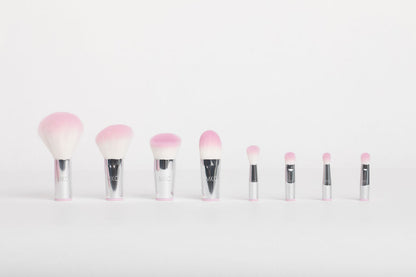 Replacement Brush Heads & Sponge