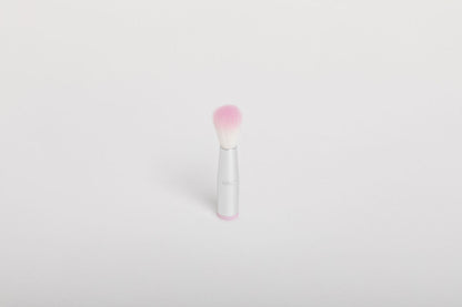 Replacement Brush Heads & Sponge