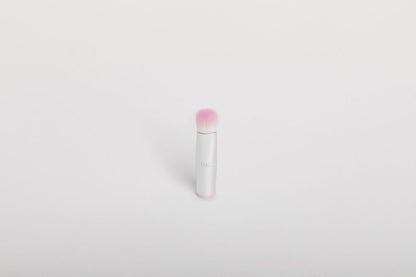 Replacement Brush Heads & Sponge