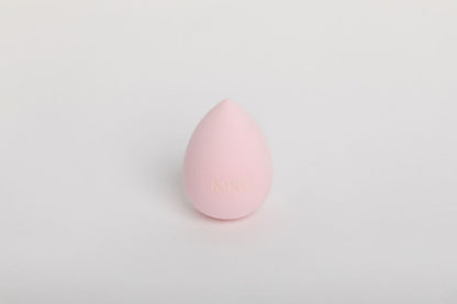 Replacement Brush Heads & Sponge